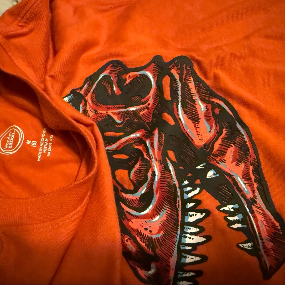 Wonder Nation Long Sleeve Tee Orange Green Dinosaur Graphic